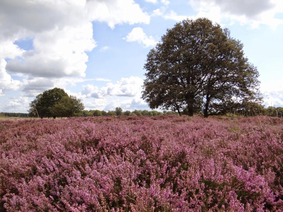 B&B De Panheide Hooghalen Exteriör bild