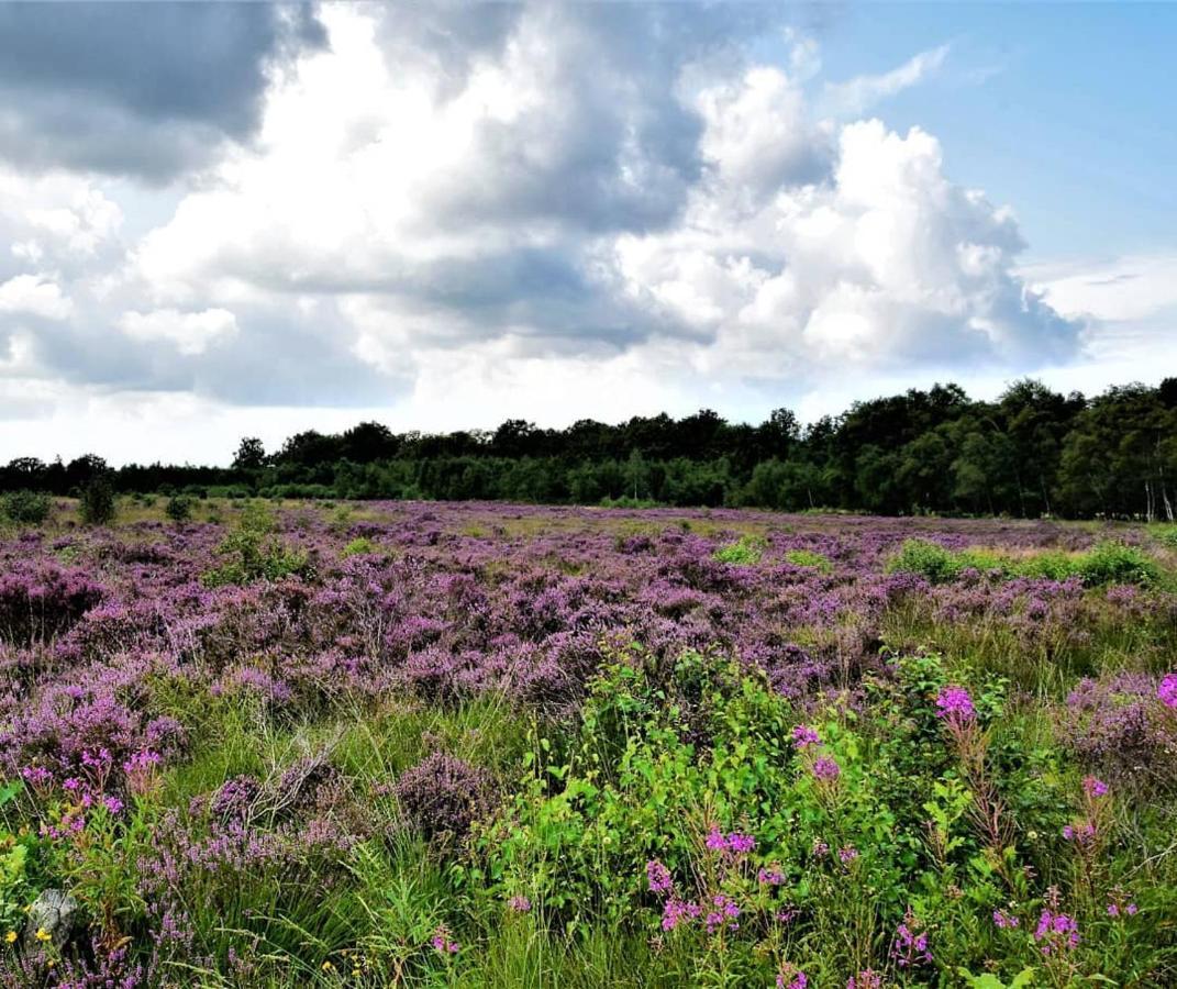 B&B De Panheide Hooghalen Exteriör bild