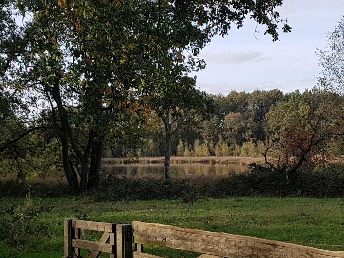 B&B De Panheide Hooghalen Exteriör bild