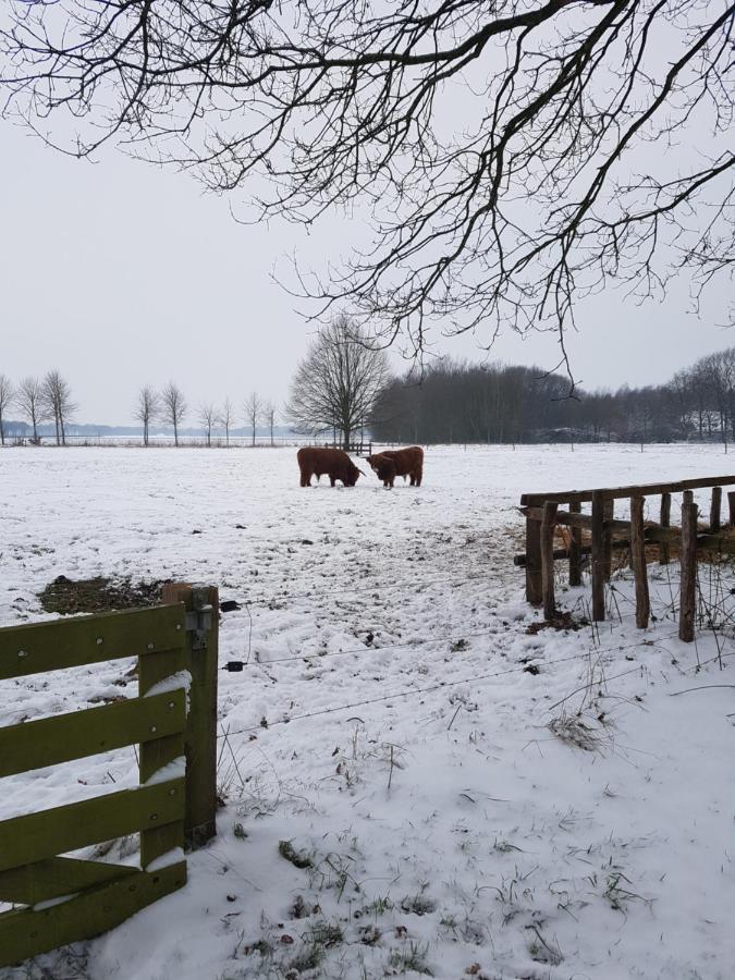 B&B De Panheide Hooghalen Exteriör bild