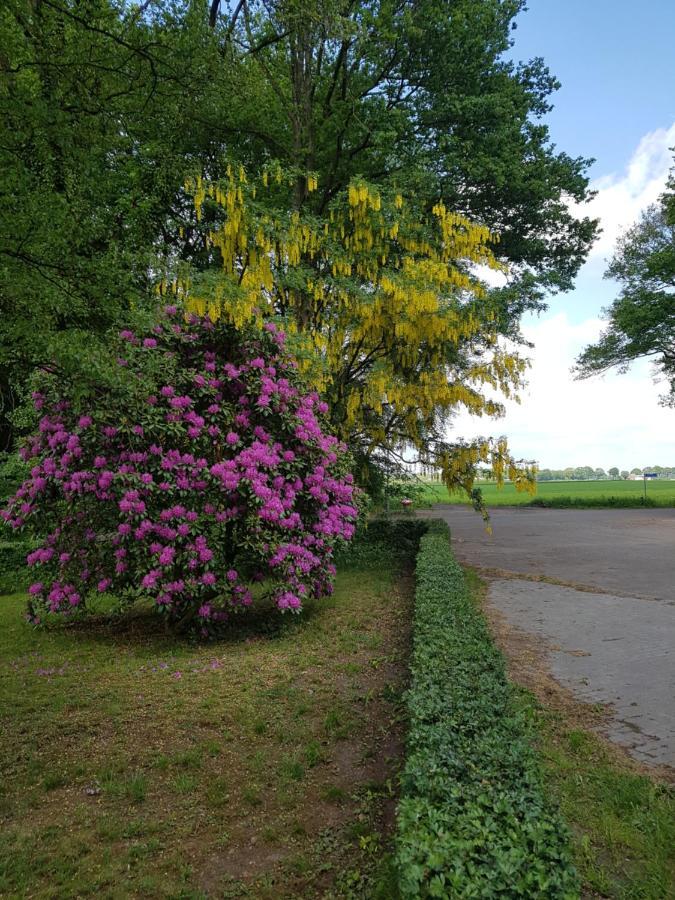 B&B De Panheide Hooghalen Exteriör bild